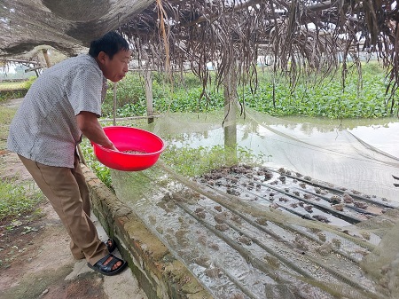 Người đưa ếch về bản Xa Phó